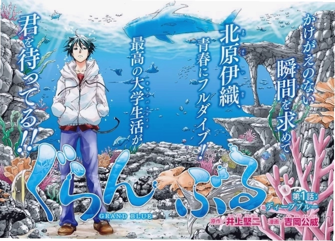 Iori Kitahara và những người bạn trong Grand Blue anime