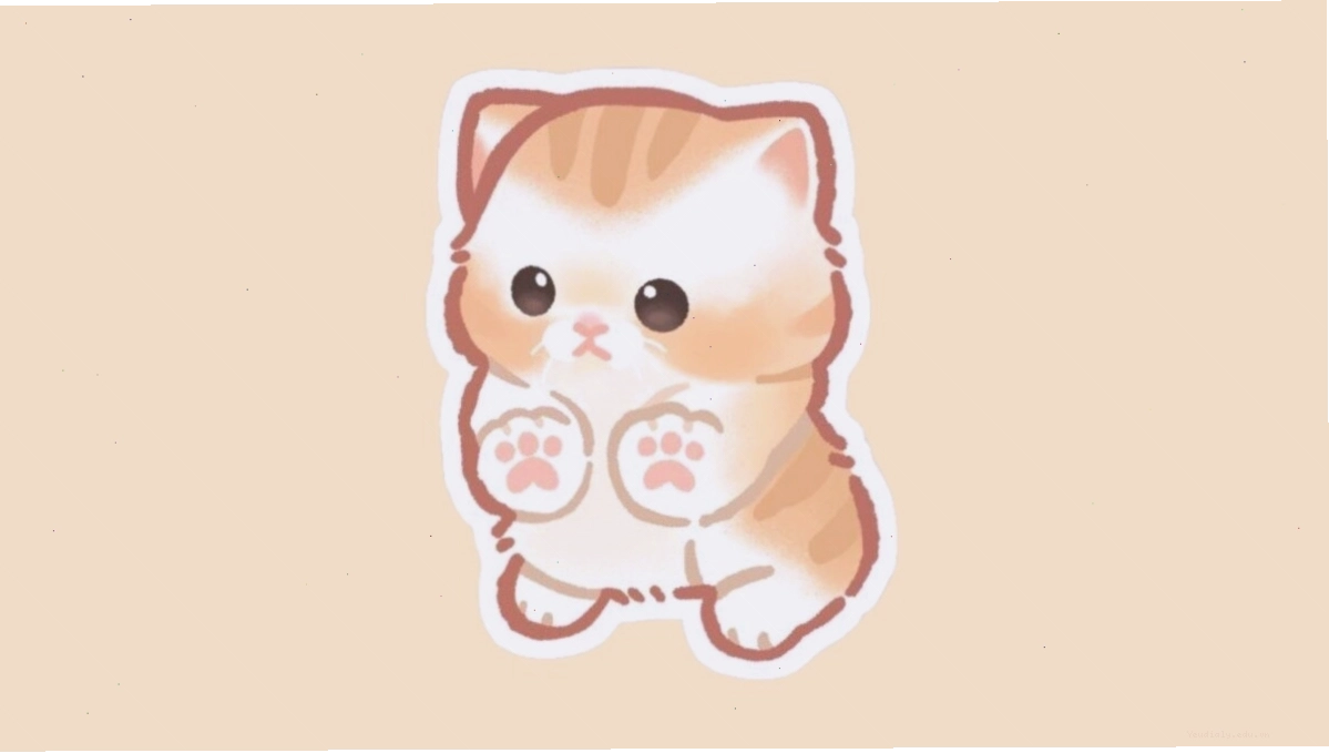 Mèo chibi với cặp mắt long lanh