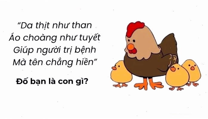 Những câu đố mẹo vui trí tuệ siêu hack não