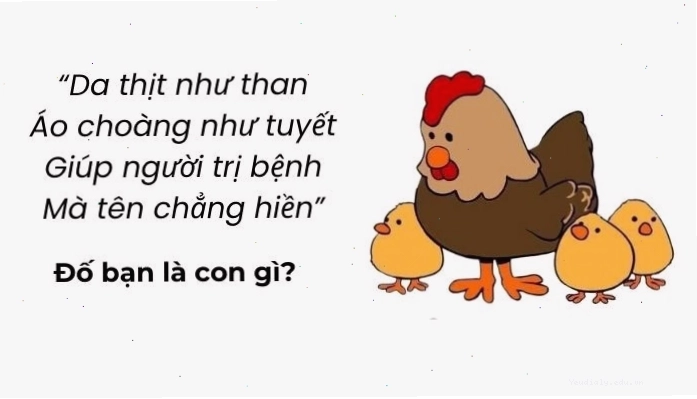 Những câu đố vui trí tuệ giúp thử thách khả năng tư duy