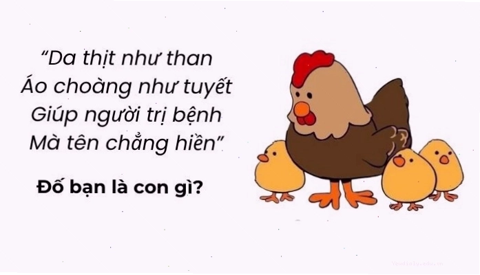 Những câu đố vui trí tuệ siêu hack não thử thách tư duy