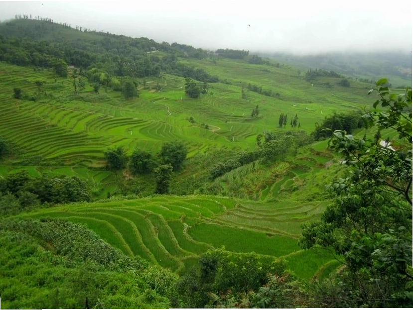 Phân loại khí hậu cận nhiệt đới