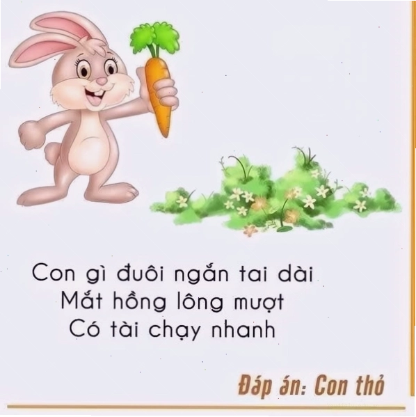 Sáng tạo trong trò chơi đố vui bằng hình ảnh
