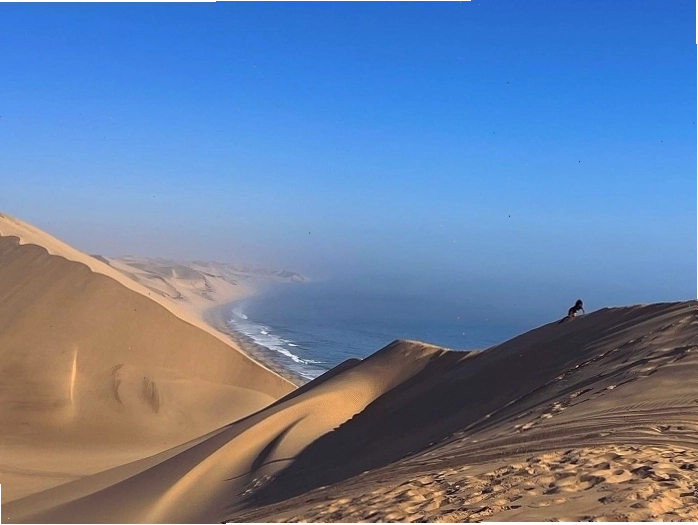 Skeleton Coast, Namibia - Nơi sa mạc gặp biển