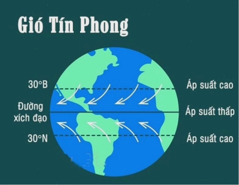Sơ đồ minh họa sự hình thành gió tín phong