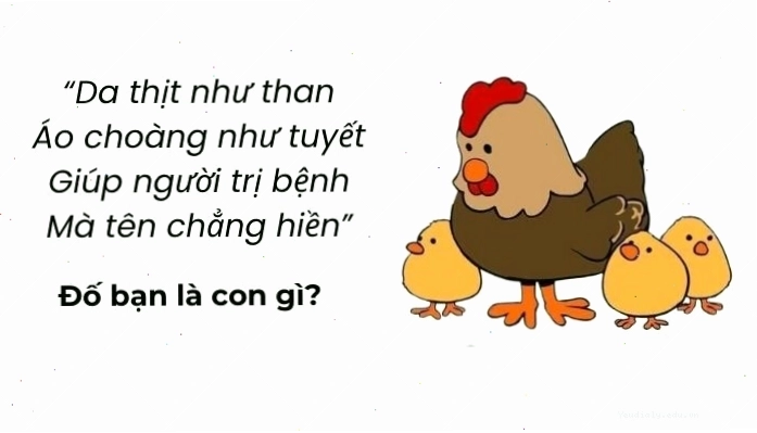 Tham khảo câu đố vui trí tuệ hack não