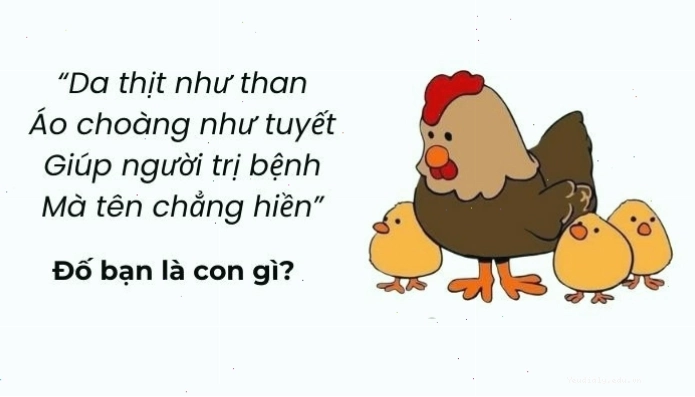 Tham khảo ngay những câu đố vui trí tuệ siêu hack não