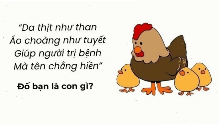 Tham khảo ngay những câu đố vui trí tuệ siêu hack não