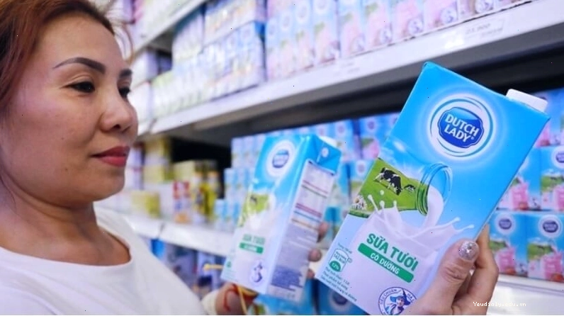Thùng sữa tươi Cô Gái Hà Lan cung cấp dinh dưỡng thiết yếu