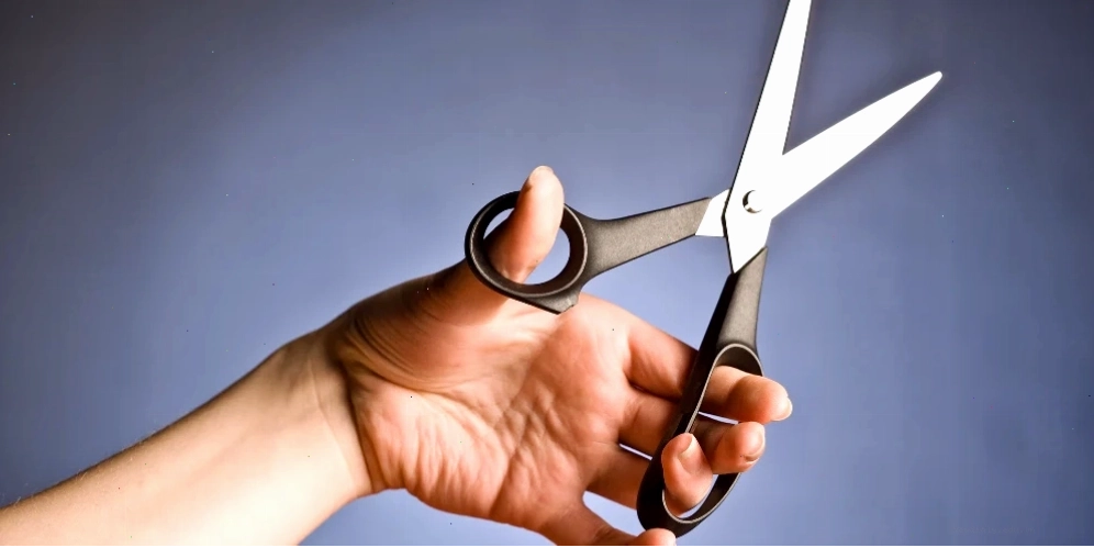 Trẻ em hào hứng với câu đố vui về thế giới động vật
