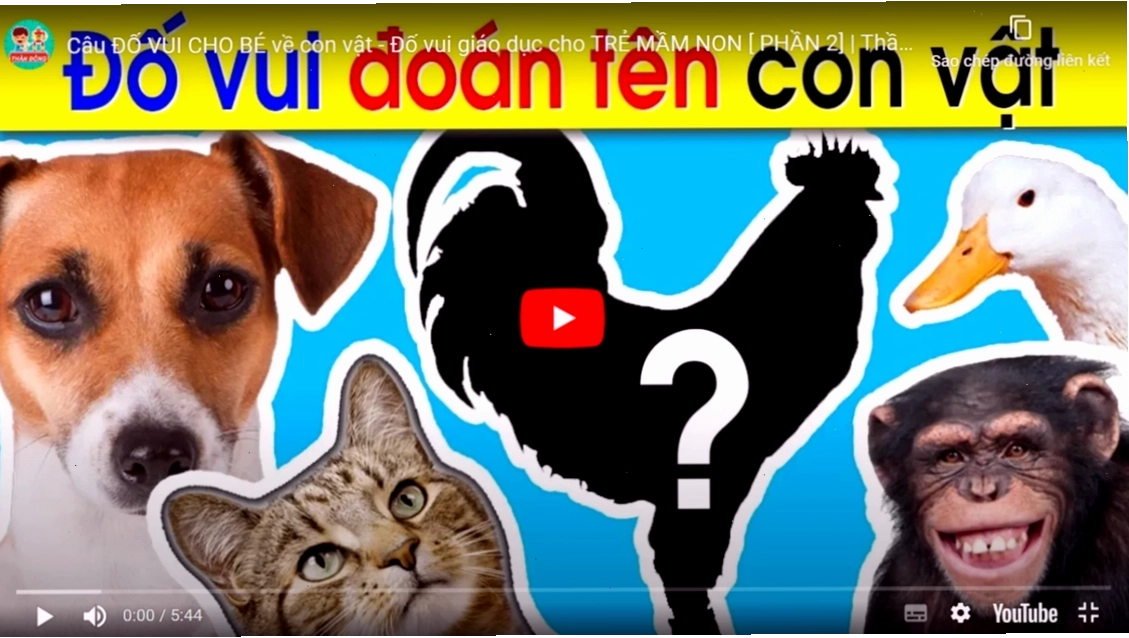 Trẻ em tương tác với nhau khi giải các câu đố vui