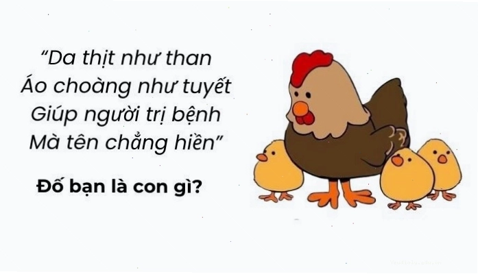 Tuyển tập những câu đố mẹo hack não người đọc