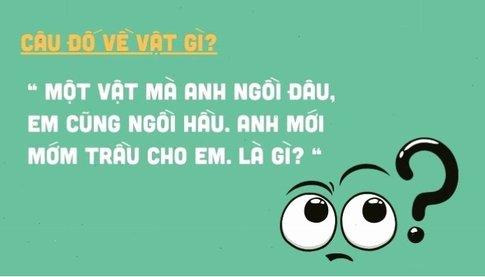 Tuyển tập những câu hỏi trí tuệ hấp dẫn