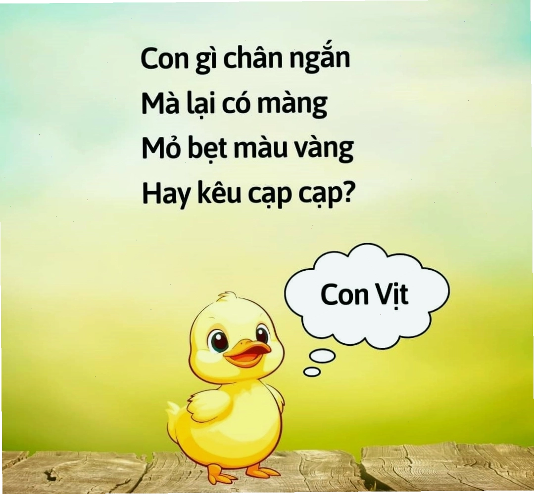 Vịt trời trên mặt nước