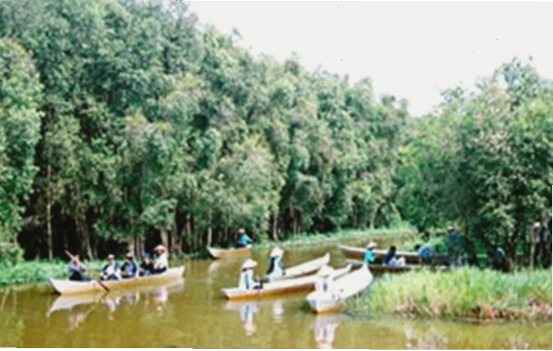 Xuồng ba lá là phương tiện di chuyển phổ biến ở Miệt Thứ, miền Tây Nam Bộ