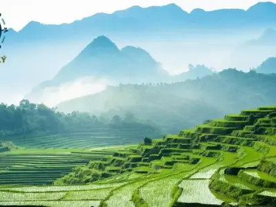 Tìm hiểu đặc điểm địa hình Việt Nam