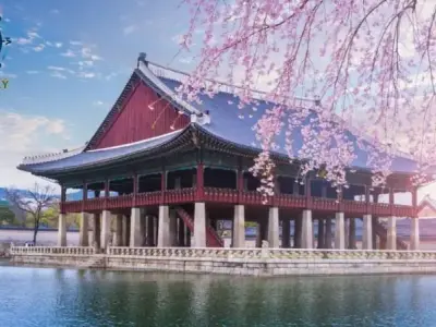 Tìm hiểu về quốc gia Hàn Quốc - Xứ sở kim chi 