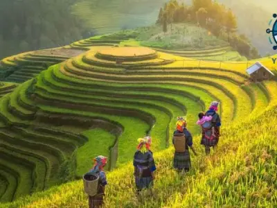 Khám phá đặc điểm đất Việt Nam