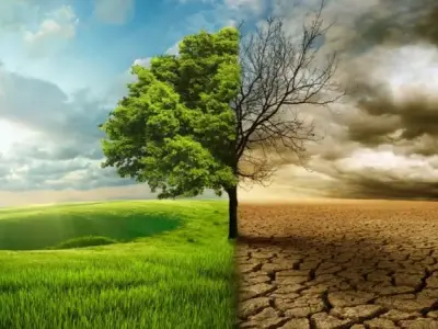 Biến đổi khí hậu: Nguyên nhân, tác động và giải pháp