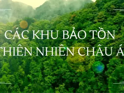 Top 9 khu bảo tồn thiên nhiên Châu Á không thể bỏ lỡ 