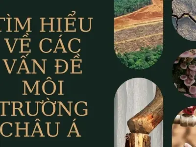 Tìm hiểu về các vấn đề môi trường Châu Á hiện nay