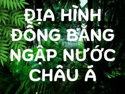 Tìm hiểu về địa hình đồng bằng ngập nước Châu Á 