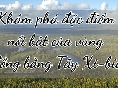 Khám phá đặc điểm nổi bật của vùng đồng bằng Tây Xi-bia