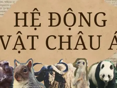 Khám phá sự đa dạng của hệ động vật Châu Á 