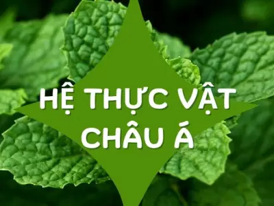 Khám phá hệ thực vật Châu Á - Sự phong phú và đa dạng