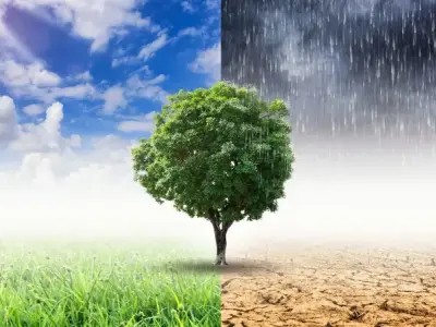 Khí hậu Châu Á - Đặc điểm và sự đa dạng theo từng khu vực
