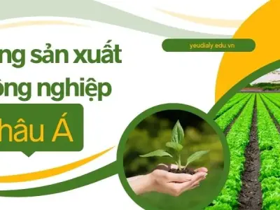 Vùng sản xuất nông nghiệp Châu Á và vai trò toàn cầu