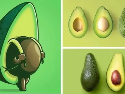 Khám phá bộ ảnh trái bơ chibi dễ thương ngộ nghĩnh nhất hiện nay