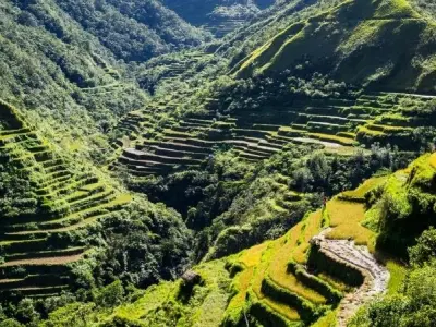 Banaue Rice Terraces kỳ quan xanh tuyệt đẹp của Philippines