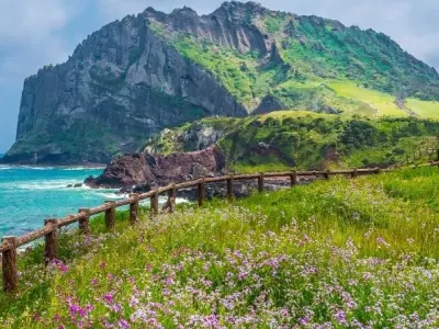 Jeju Island vẻ đẹp hoang sơ hòa cùng thiên nhiên hùng vĩ
