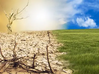 Khí hậu Châu Phi thay đổi từ nhiệt đới khô hạn đến ôn đới