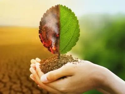 Khám phá khí hậu cực Châu Á và những đặc điểm khắc nghiệt