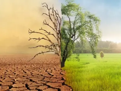 Khám phá khí hậu nhiệt đới Châu Á và đặc điểm nổi bật nhất