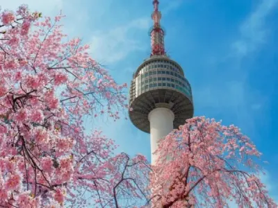 N Seoul Tower điểm ngắm cảnh lãng mạn giữa thủ đô Seoul