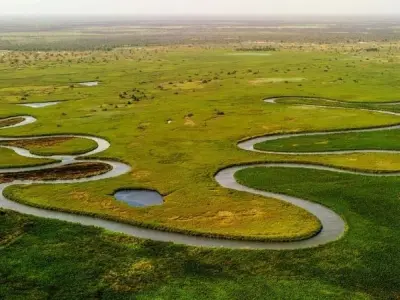 Okavango Delta kỳ quan thiên nhiên hoang dã của châu Phi