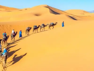 Khám phá Sa mạc Kalahari thiên đường đỏ giữa lòng Châu Phi