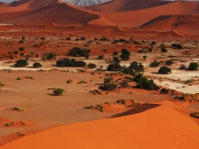 Sa mạc Namib vùng đất khô hạn lâu đời nhất trên thế giới