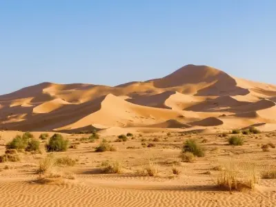 Hành trình khám phá vẻ đẹp khắc nghiệt của sa mạc Sahara