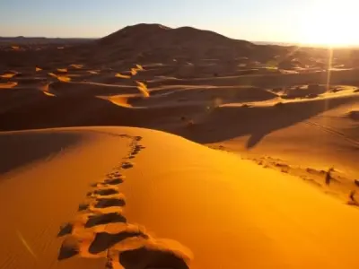 Sahara Desert vẻ đẹp hoang sơ giữa lòng châu Phi rộng lớn