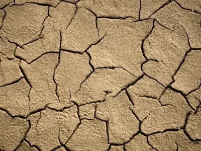 Sahel vùng chuyển tiếp độc đáo giữa sa mạc và thảo nguyên