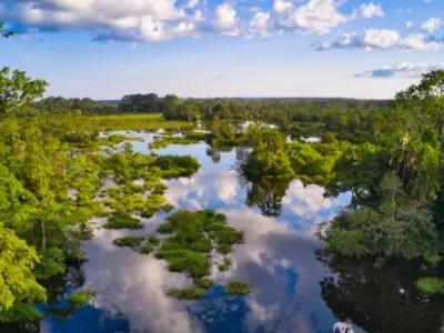 Sông Congo dòng chảy hùng vĩ giữa rừng nhiệt đới Châu Phi