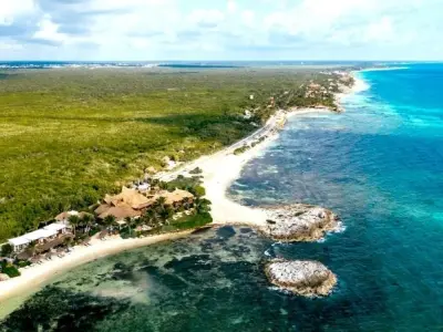 Vịnh Mexico là nơi bảo tồn nhiều loài sinh vật biển quý