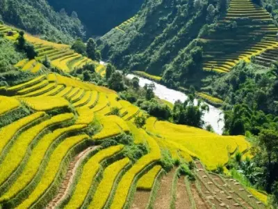 Vùng nông thôn Châu Á và những phong tục đặc sắc lâu đời