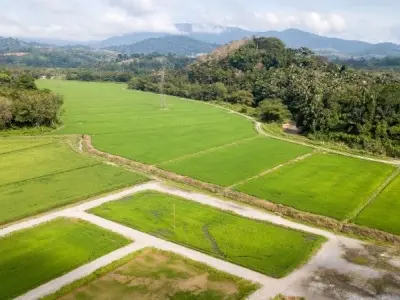 Đất đai và vai trò quan trọng trong phát triển nông nghiệp