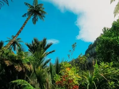 Khí hậu nhiệt đới và mối quan hệ mật thiết kinh tế du lịch