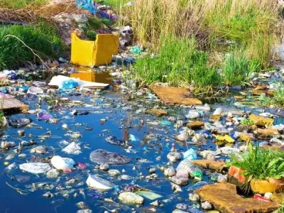 Giải pháp giảm thiểu ô nhiễm trong đời sống đô thị hiện nay